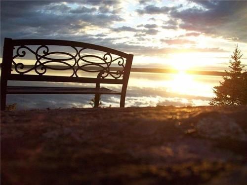 Edgewater Motel And Campground Temiskaming Shores Екстериор снимка